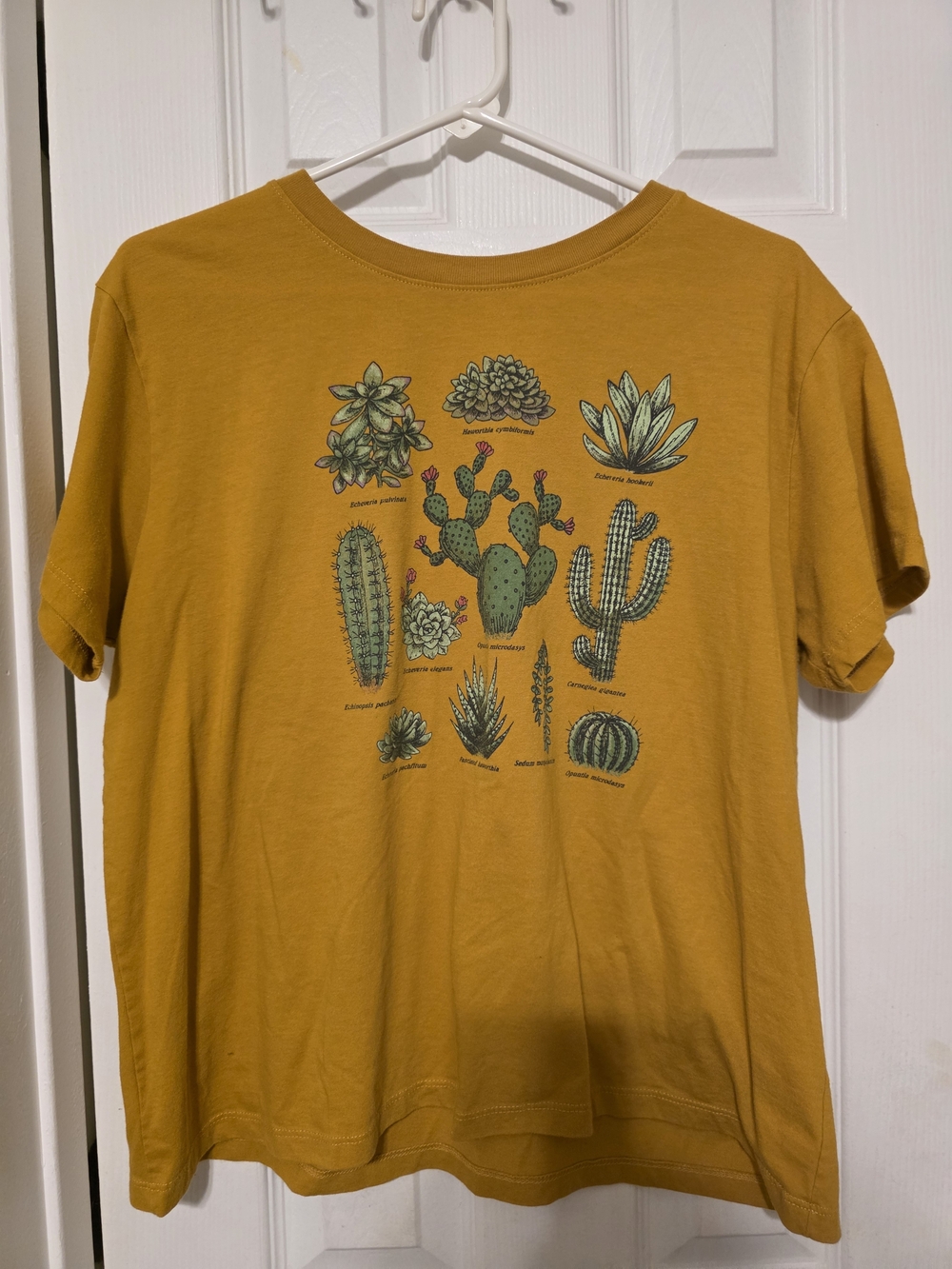 Fifth Sun Mustard Cactus & Succulent Graphic Tee